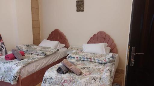 King of The pyramids - Housity