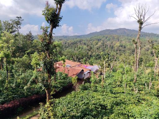 Shivalaya Homestay - Housity
