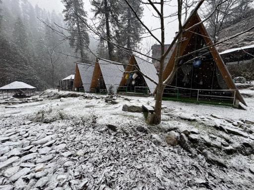 Sunshine Cafe & Cottage Riverside - Housity