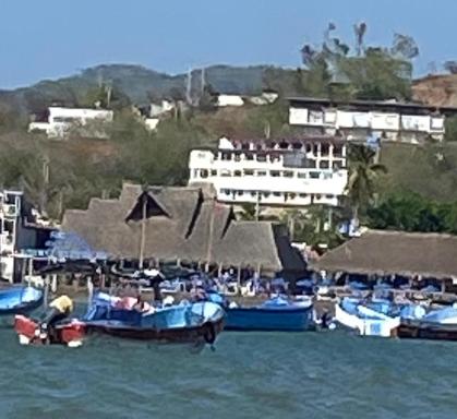 Surf Training Lab - Housity