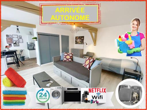 015 CHIC & COSY STUDIO 41m2 HYPERCENTRE WIFI SMART TV NETFLIX - Housity