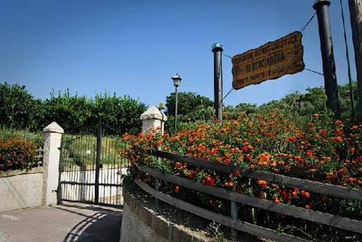 Eco-bio Agriturismo Santacinnara - Housity