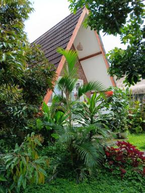 Green Haven Homestay - Housity