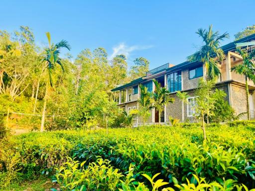 Palabaddala Tea and Eco Lodge - Housity