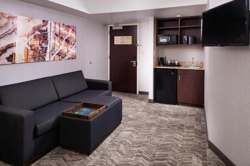 SpringHill Suites by Marriott Pittsburgh North Shore - Housity