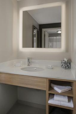 SpringHill Suites by Marriott New Orleans Warehouse Arts District - Housity