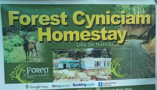 Forest Cyniciam Homestay - Housity