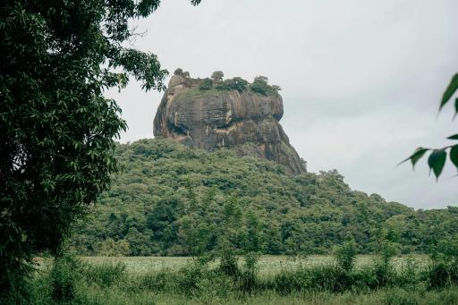 Lakmal Homestay ,10 minutes to Sigiriya Rock - Housity