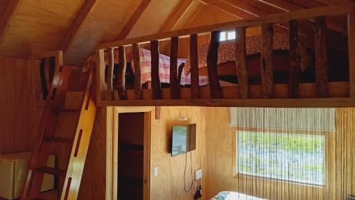 Fío Fío Patagonia - Housity