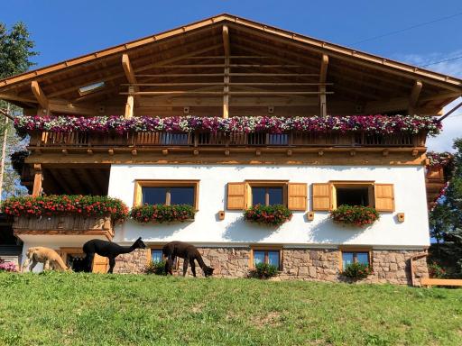 B&B Belvedere - Housity