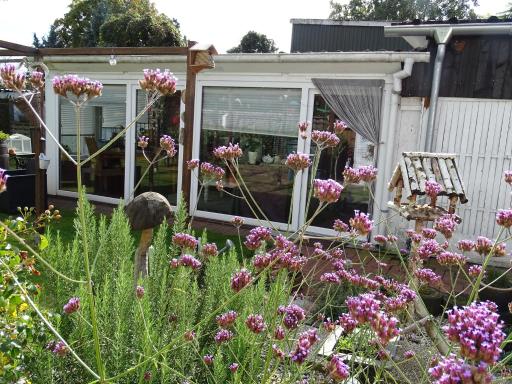 B&B Piccardie - Housity