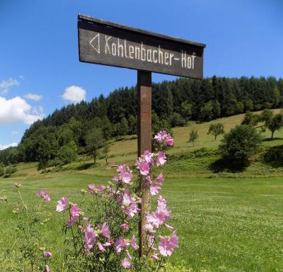 Hotel-Restaurant Kohlenbacher-Hof - Housity