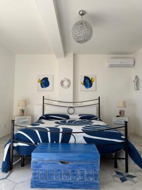 The RoofPort - Housity