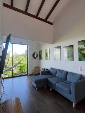 Orquideas 3 - Housity