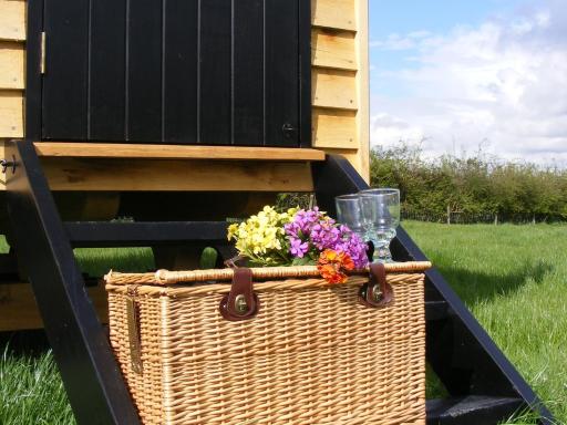 Marshwood Farm B&B and Shepherds Hut - Housity