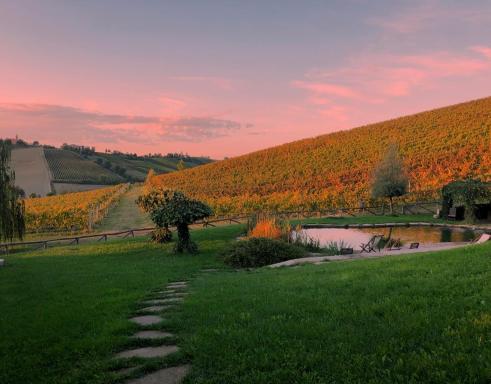 Corte D'Aibo - Housity