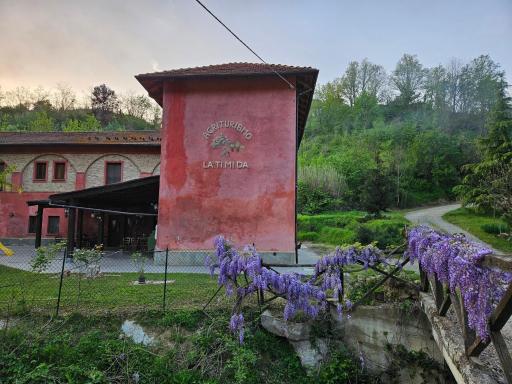 Agriturismo La.Ti.Mi.Da. - Housity