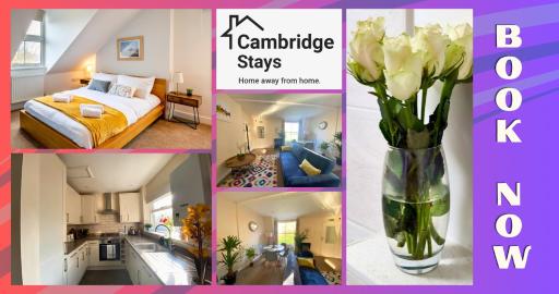Cambridge Stays - 1BR Super Central Flats in Cambridge - Housity