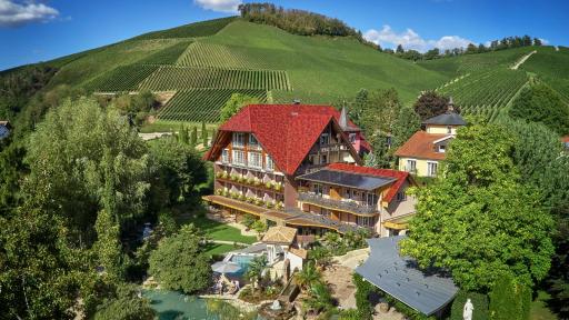 Hotel Rebstock Durbach - Housity