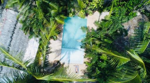 Norte Nosara - Steps to Playa Guiones - Housity