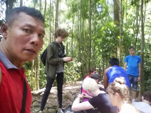 GRANDMA GUEST HOUSE including jungle Trek - Housity