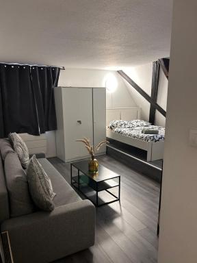 STRASBOURG : STUDIO HYPER CENTRE - Housity