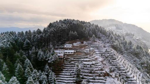 The Deodar Stays - Housity
