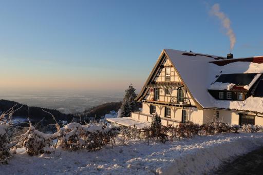 Berghof Grüner Baum - Housity