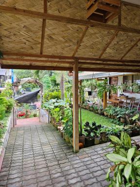 Beach Lokal Home Hostel - Housity
