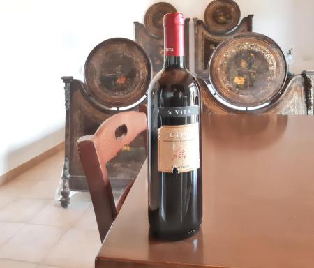 Studio with sea view in Badolato - 35 m² - Shared pool - Housity