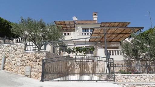 Apartments Branka - Housity