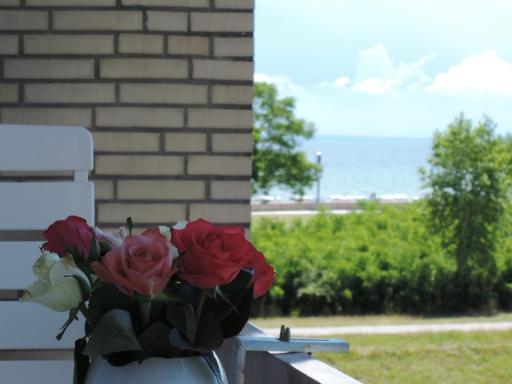 Haus Grömitz - Baltic 172 - Housity