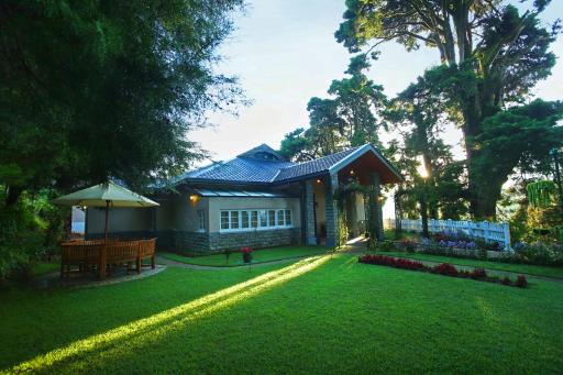The Firs - Housity