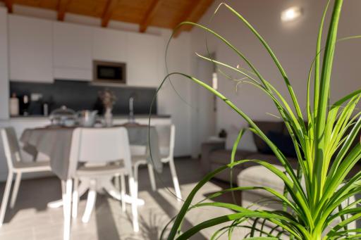 Delfina Home Mansarda - Housity