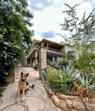 Bryan's View - Housity