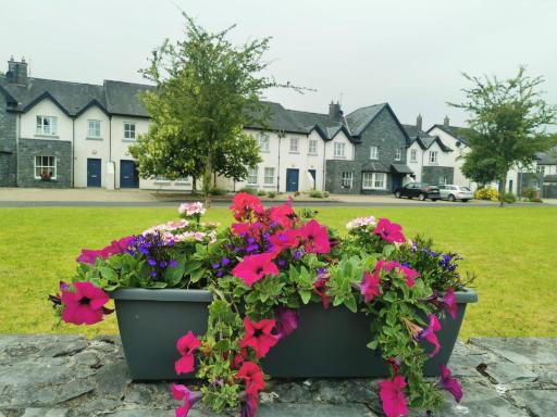 Bunratty Holiday Homes - Housity