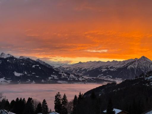 Hotel Fassbind Beausite - Housity