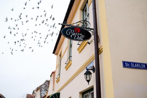 Rosen Villa Sibiu - Housity