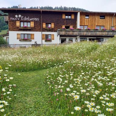 Haus Edelweiß - Housity