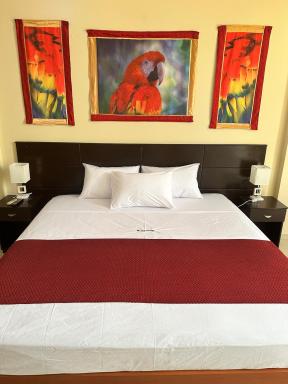 Doral Inn Hotel - Iquitos - Housity