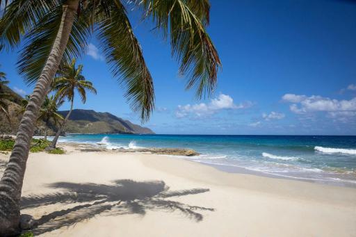 Carambola Beach Resort St. Croix, US Virgin Islands - Housity