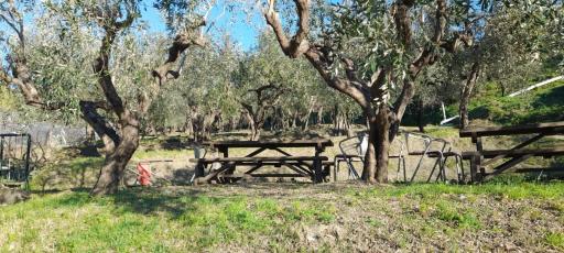 Agriturismo Cele - Housity