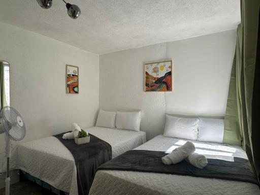 Casa Zakura - Housity