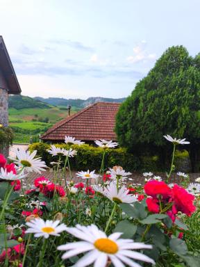 Pousada Borghetto – Charme e Exclusividade no Vale dos Vinhedos - Housity