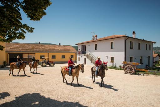 Fattoria Didattica La Collina Incantata - Housity