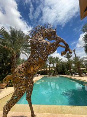 Riad le Jasmin - Housity