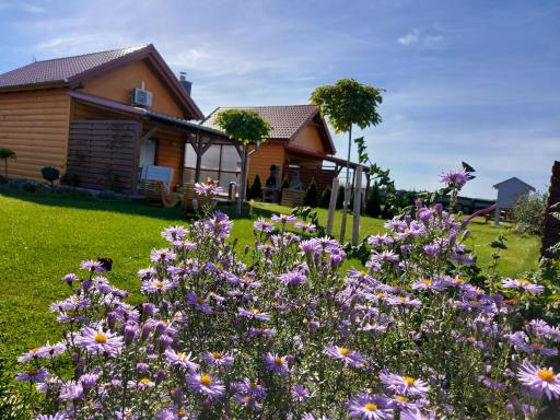 Domek Lawendowy nr 4 - Housity
