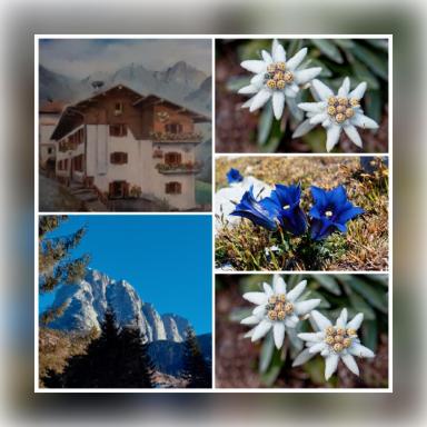 DOLOMITI Ferienwohnung, Appartamento vacanze. - Housity