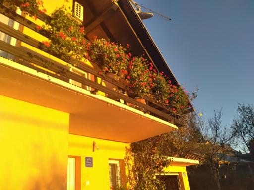House Jelena&Marija - Housity