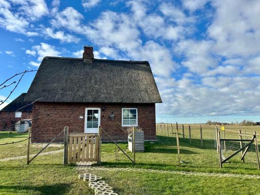 Haus Treibsel - Housity